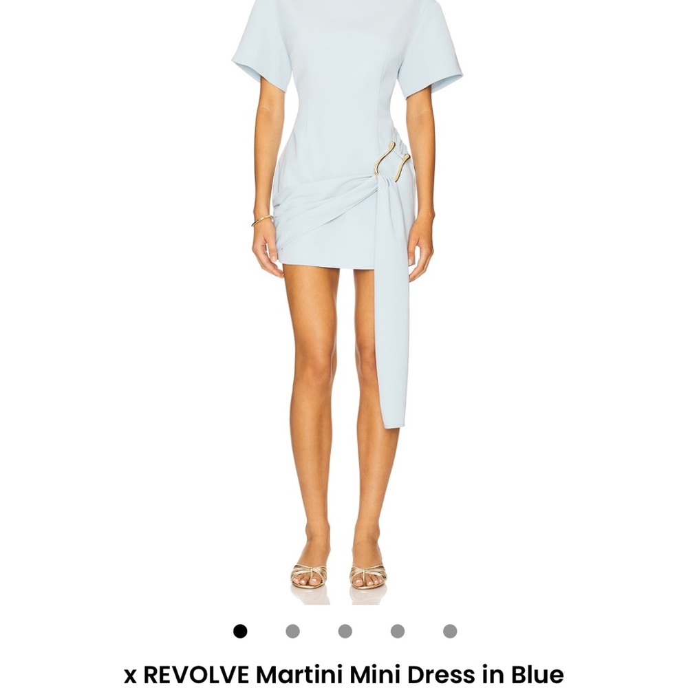 Lioness x Revolve